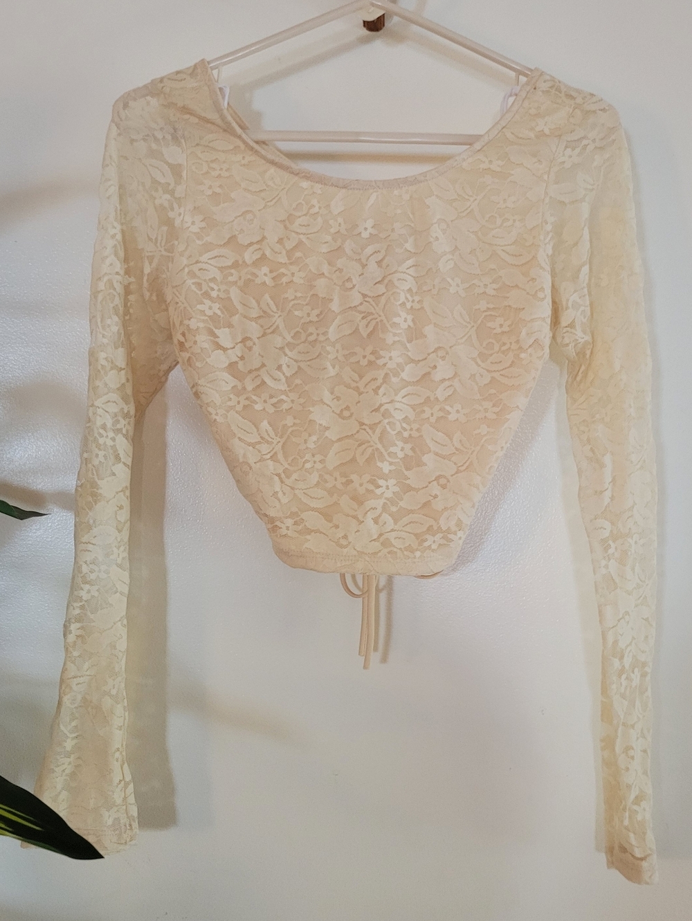 Chocolate U.S.A. Cream Floral Sheer Lace Long Sleeve Crop Top